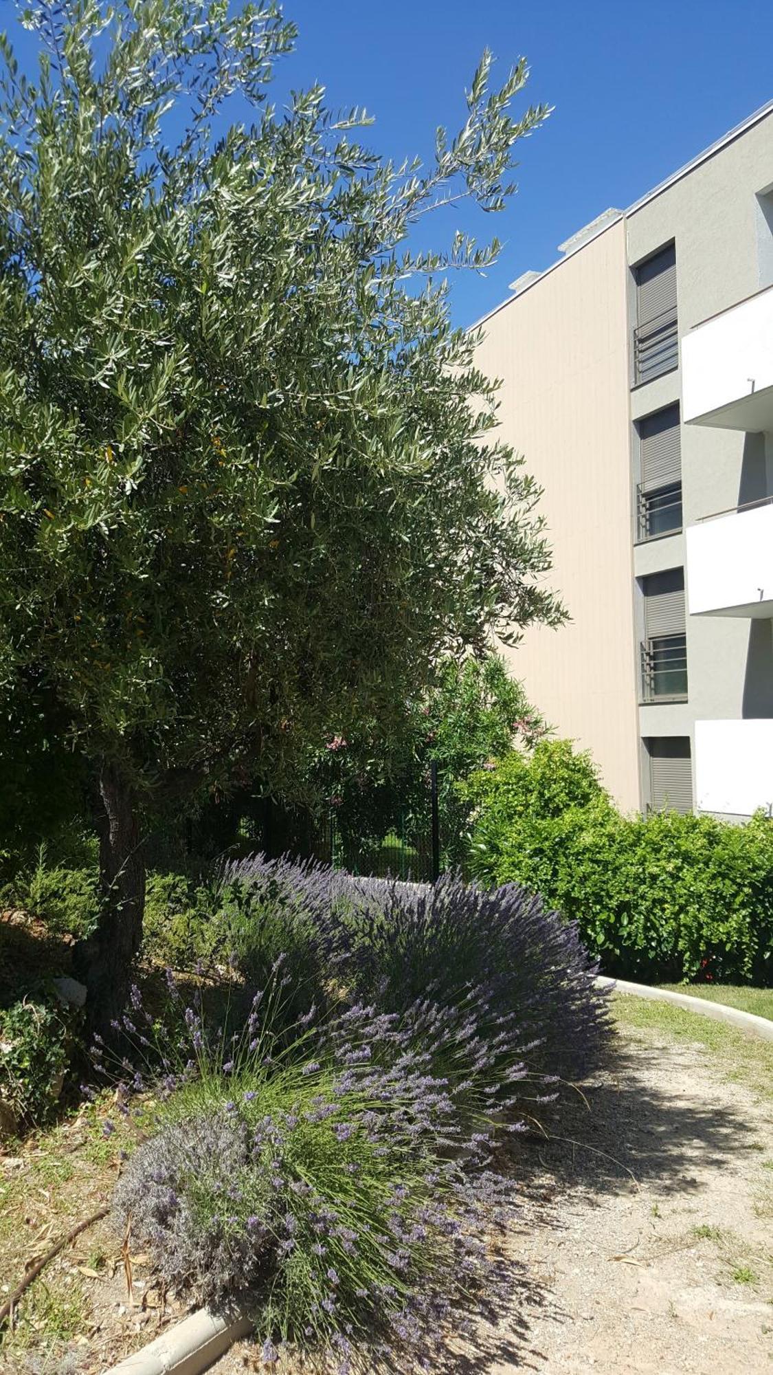 Ferienwohnung Studio Vista Antibes Exterior foto